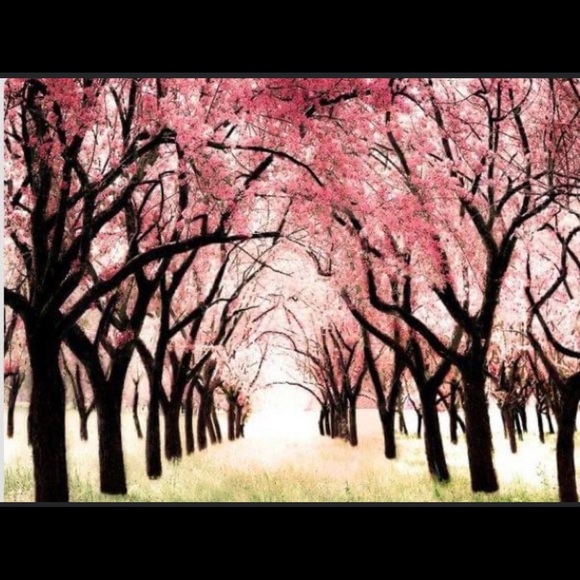 Meet your Posher, Mai - Picture 1 of 1